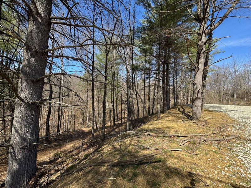 7459 Township Rd 215-A SE, Unit (Tract 5 a, Corning, OH 43730 Photo 45