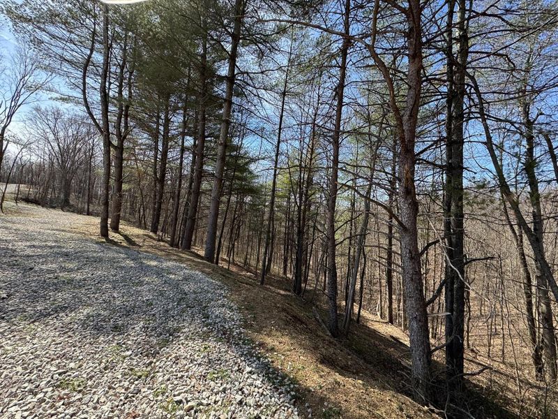 7459 Township Rd 215-A SE, Unit (Tract 5 a, Corning, OH 43730 Photo 48