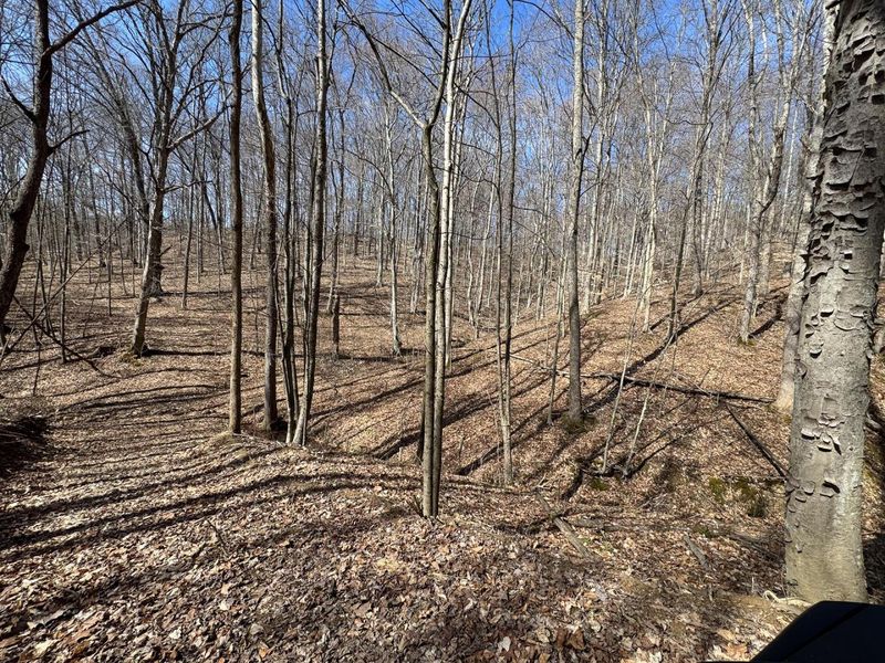 7459 Township Rd 215-A SE, Unit (Tract 5 a, Corning, OH 43730 Photo 5