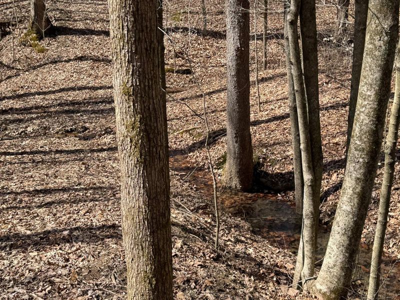 7459 Township Rd 215-A SE, Unit (Tract 5 a, Corning, OH 43730 Photo 6