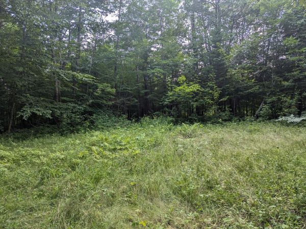 Lot 17 Quarry Avenue, Brownville, ME 04414