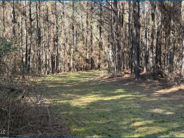 County Road 2257 , Ethel, MS 39067