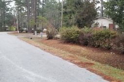 309 Pine Needle Road photo 4