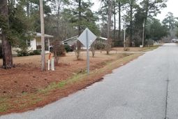 309 Pine Needle Road photo 4