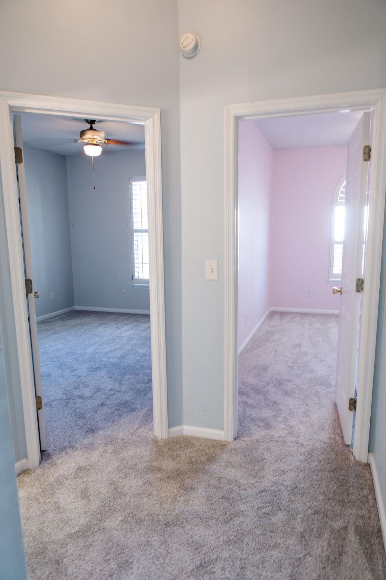 3517 Forest Glen Drive Photo 18