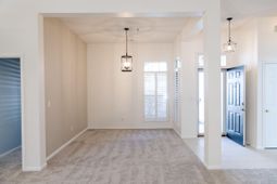 3517 Forest Glen Drive photo 4