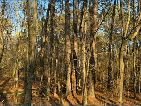 Will Brown , Conehatta, MS 39057