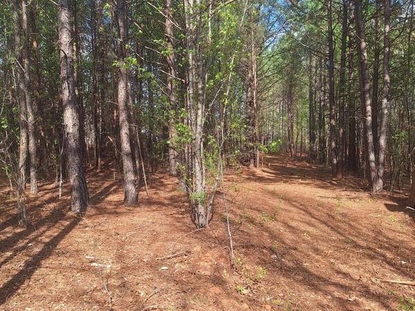 0 King Wilkinson Road , Denver, NC 28037