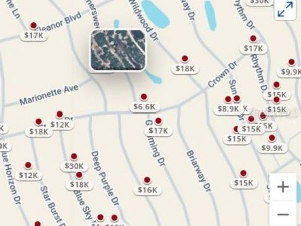 315 SUMMERSWEET DRIVE, LAKE PLACID, FL 33852