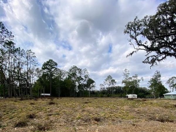 TBD SW 9TH STREET, WILLISTON, FL 32696