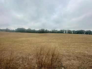 NW 31ST STREET, BELL, FL 32619