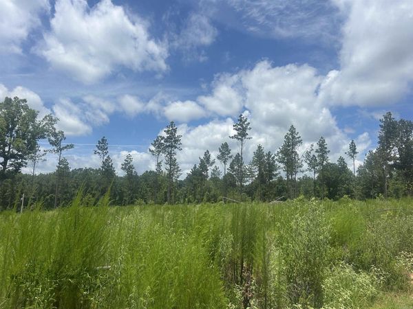 0 Grant 433, Sheridan, AR 72150