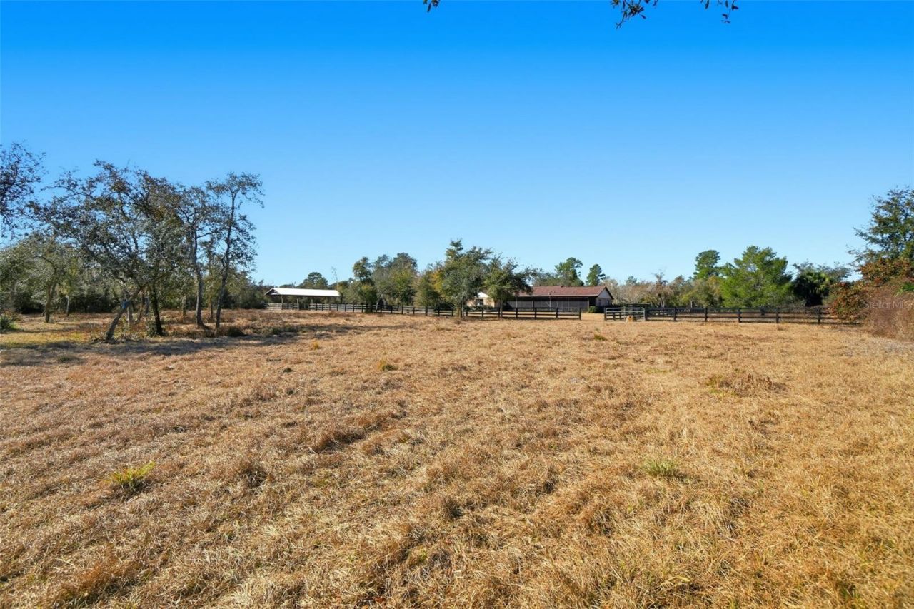 370 Sand Pine Place, Geneva, FL 32732 Photo