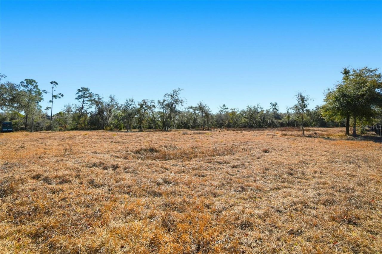 370 Sand Pine Place, Geneva, FL 32732 Photo