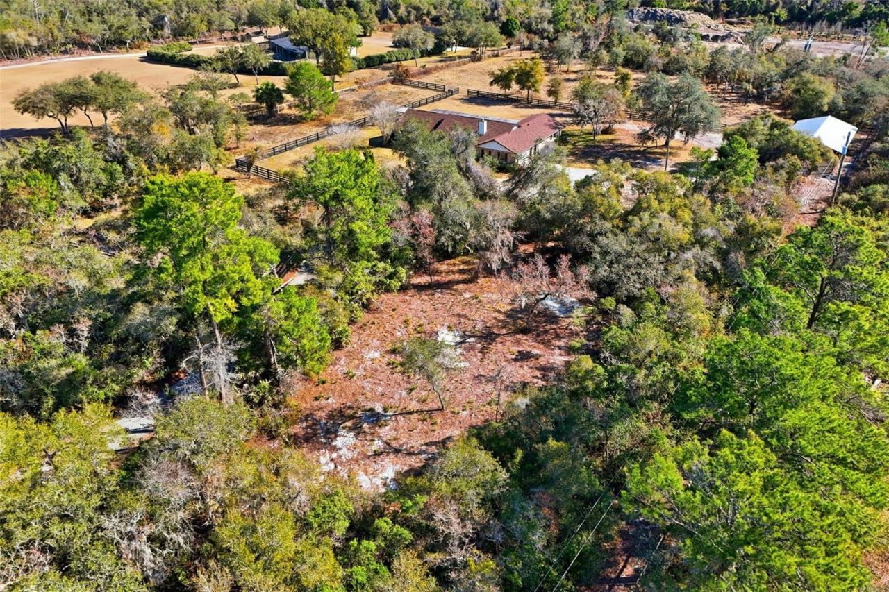 370 Sand Pine Place, Geneva, FL 32732 Photo