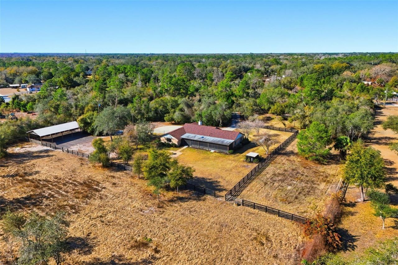 370 Sand Pine Place, Geneva, FL 32732 Photo