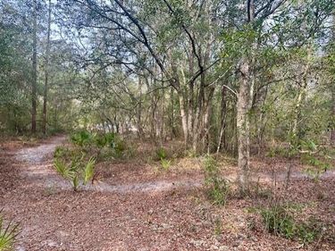 NW 11TH AVENUE, BELL, FL 32619