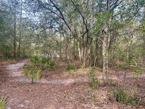 NW 11TH AVENUE, BELL, FL 32619