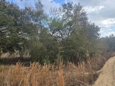 SE 252ND AVE, UMATILLA, FL 32784