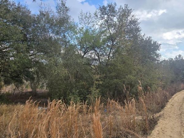 SE 252ND AVE, UMATILLA, FL 32784