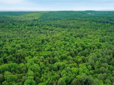 Elpis Road, Vienna, NY 13316