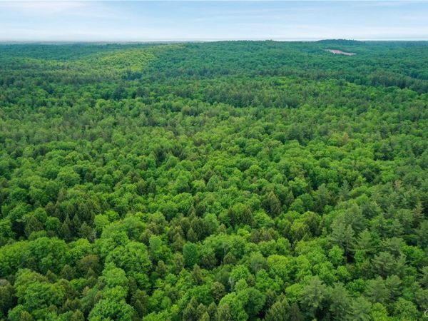 Elpis Road, Vienna, NY 13316