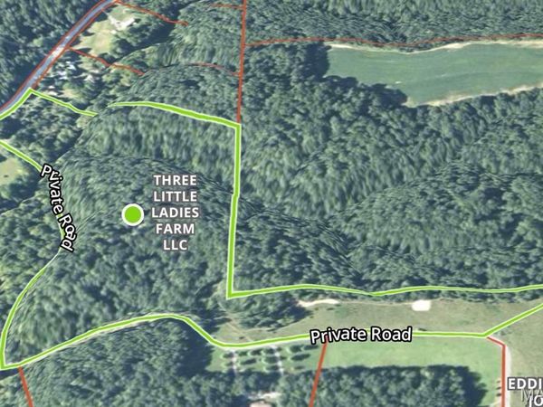 0 Old Williamsburg Rd 37.48 AC, Montgomery City, MO 63361