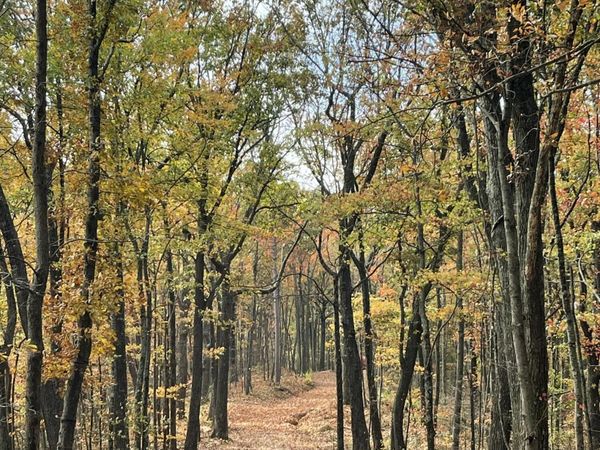 150 Timber Oaks Lane, Pioneer, TN 37847