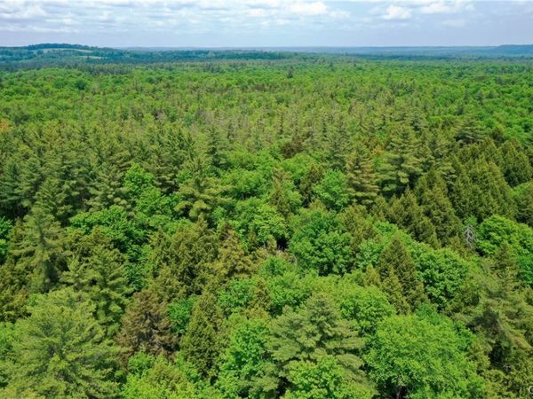 Elpis Road, Camden, NY 13316