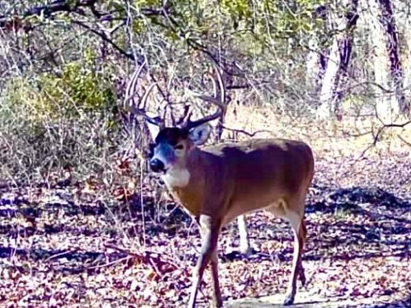 00 County Road 2550, Mill Shoals, IL 62862