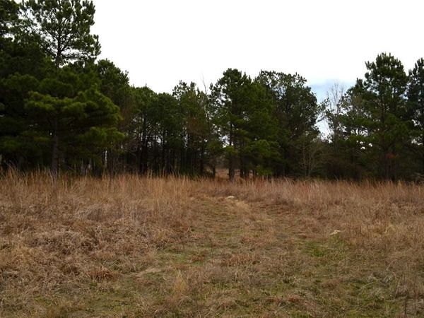 3843 Fm 1256, Eustace, TX 75124