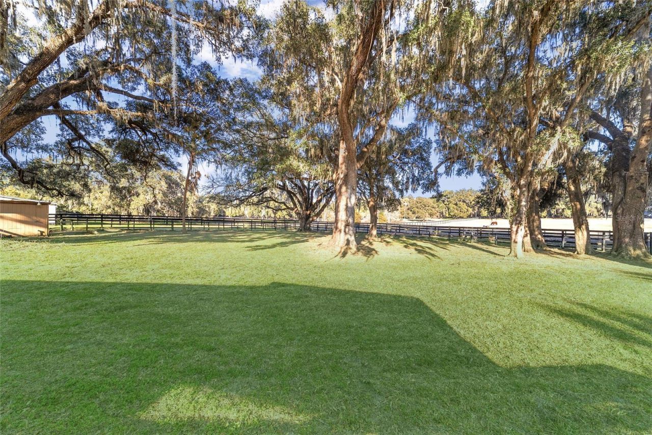 8038 NW 162nd Court, Morriston, FL 32668 Photo