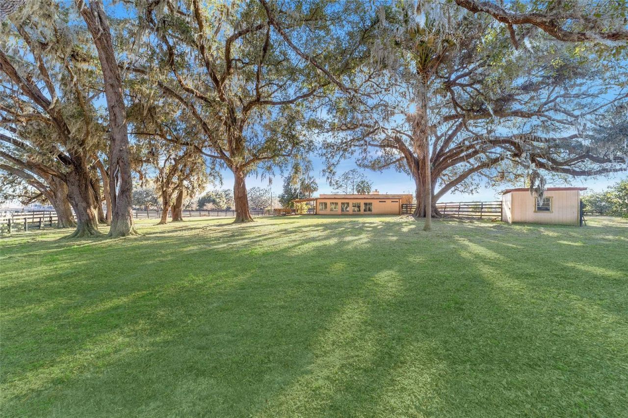 8038 NW 162nd Court, Morriston, FL 32668 Photo