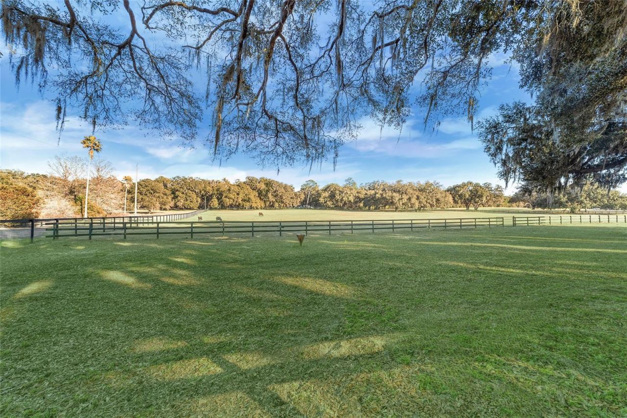 8038 NW 162nd Court, Morriston, FL 32668 Photo