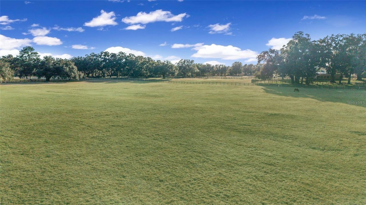 8038 NW 162nd Court, Morriston, FL 32668 Photo