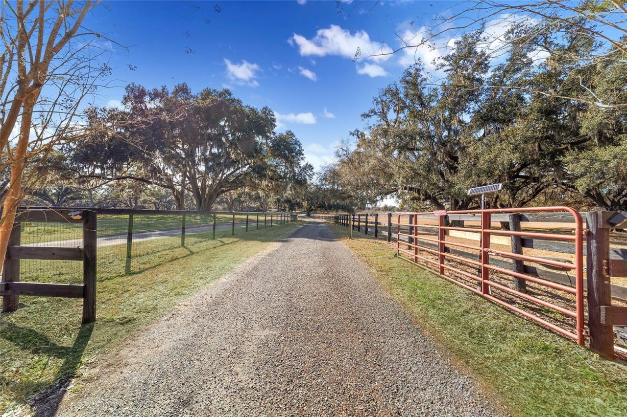 8038 NW 162nd Court, Morriston, FL 32668 Photo