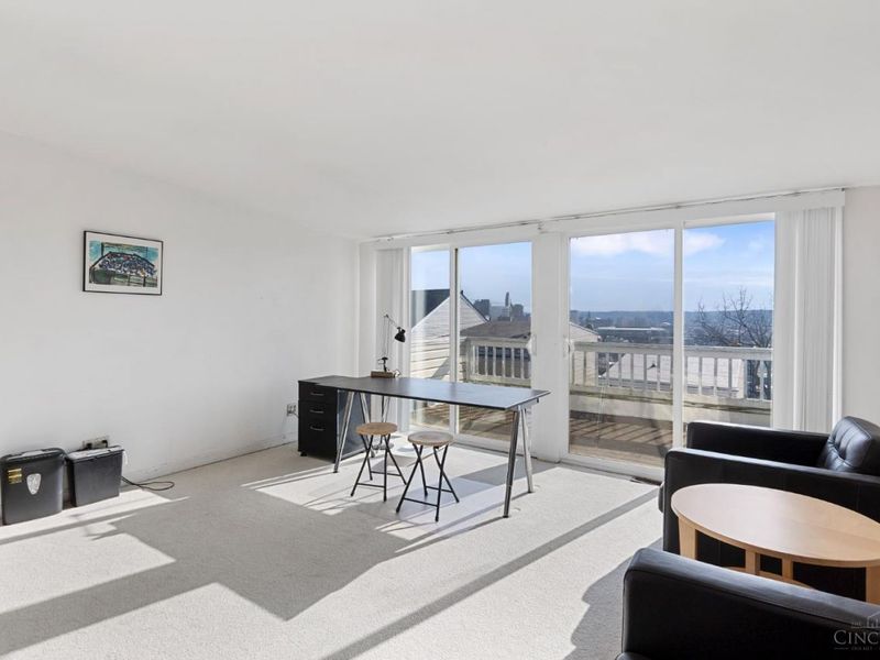 310 Klotter Avenue, Cincinnati, OH 45219 Photo 16