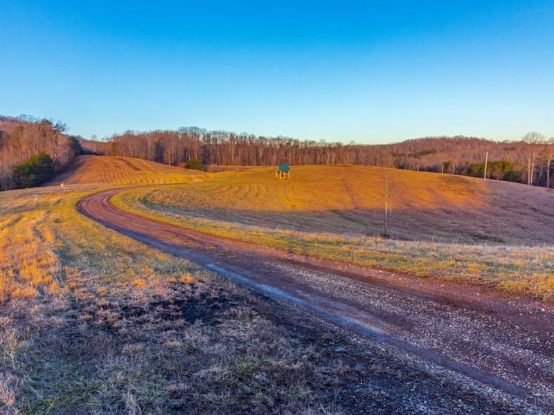 500 Ernie Road, Lynx, OH 45650 Photo 10