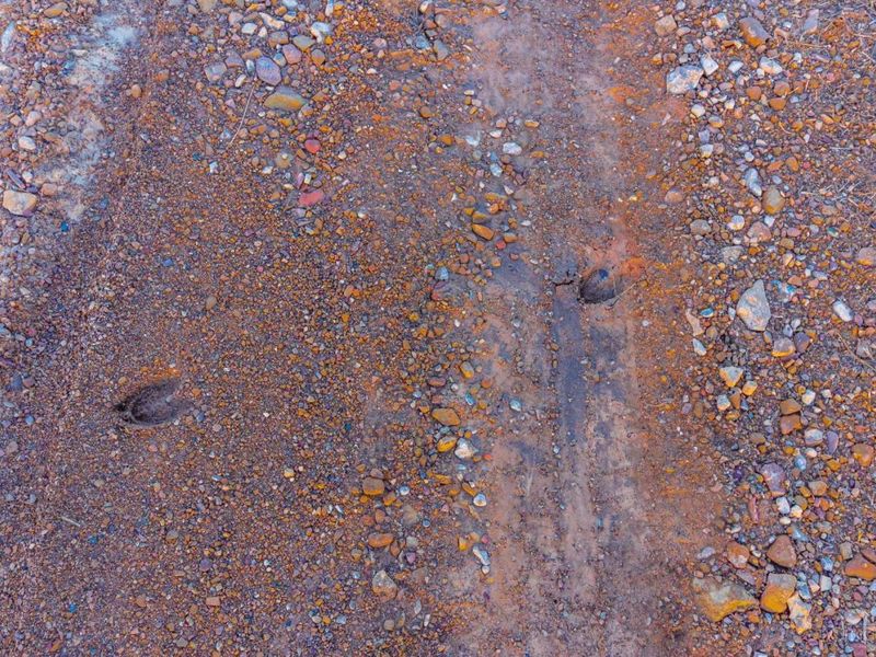 500 Ernie Road, Lynx, OH 45650 Photo 12