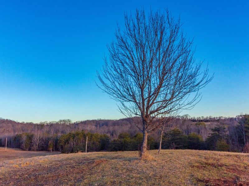 500 Ernie Road, Lynx, OH 45650 Photo 14