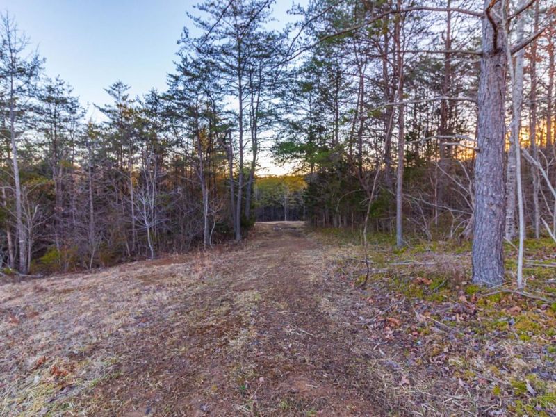 500 Ernie Road, Lynx, OH 45650 Photo 15