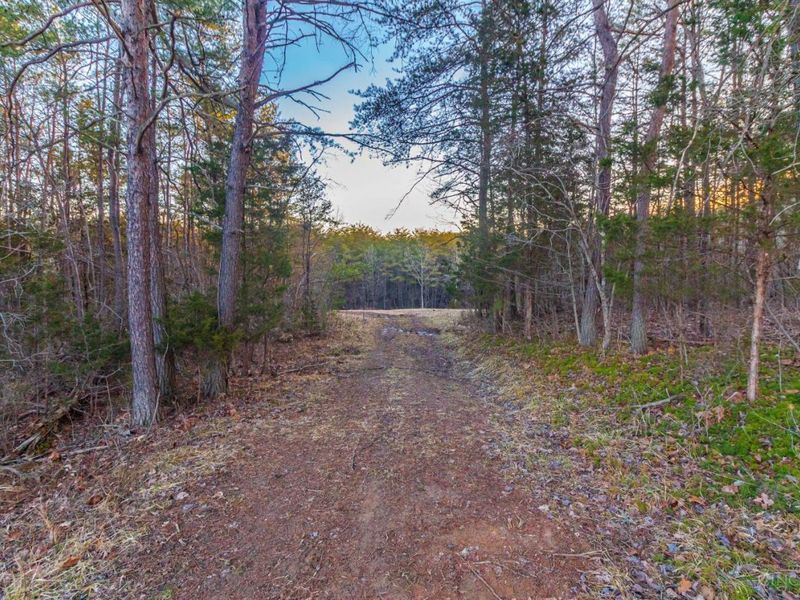 500 Ernie Road, Lynx, OH 45650 Photo 16