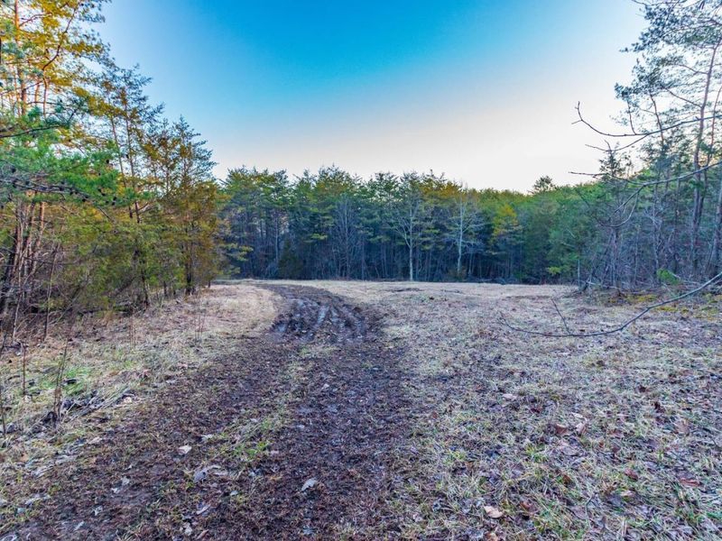 500 Ernie Road, Lynx, OH 45650 Photo 17