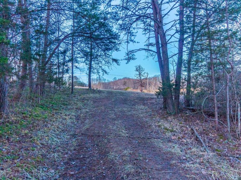 500 Ernie Road, Lynx, OH 45650 Photo 20