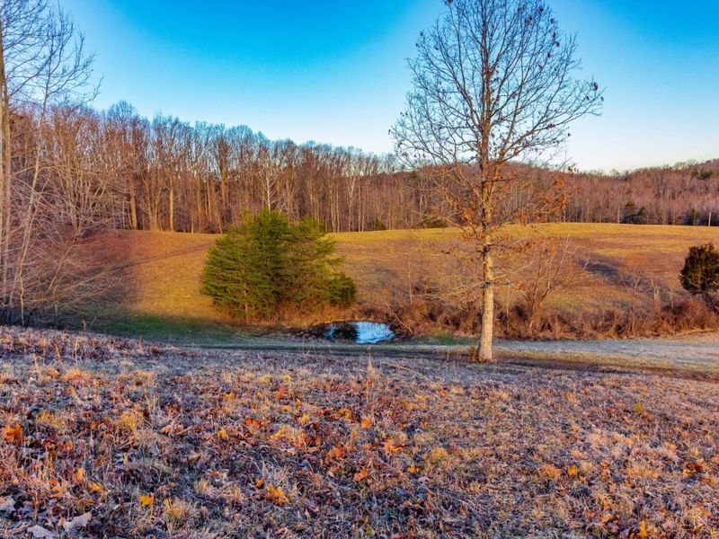 500 Ernie Road, Lynx, OH 45650 Photo 25