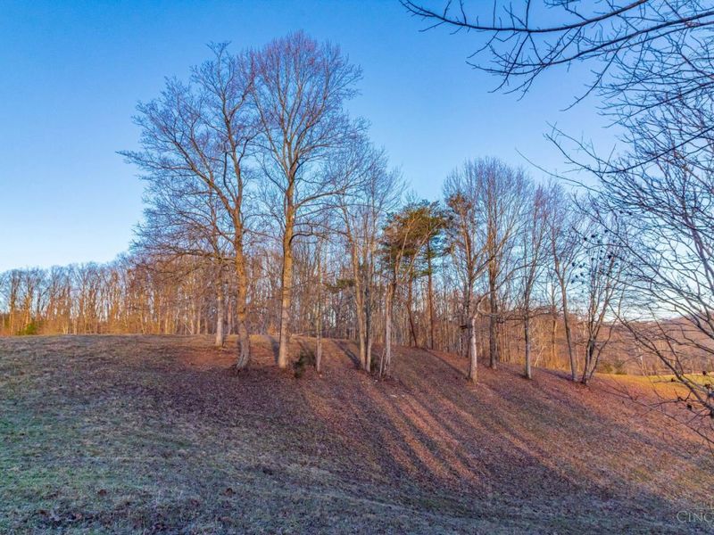 500 Ernie Road, Lynx, OH 45650 Photo 26