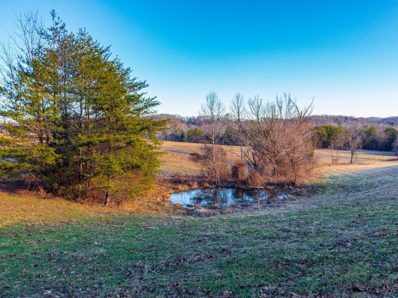 500 Ernie Road, Lynx, OH 45650 Photo 27