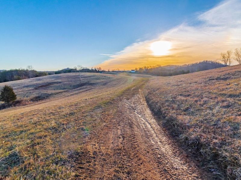 500 Ernie Road, Lynx, OH 45650 Photo 28