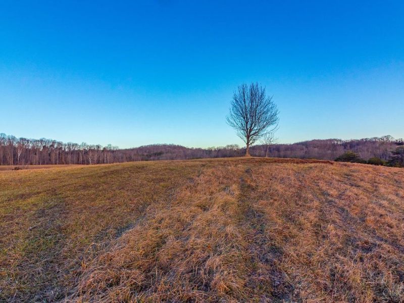 500 Ernie Road, Lynx, OH 45650 Photo 6