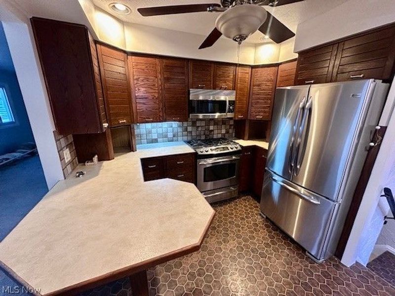 29315 Nehls Park Drive, Wickliffe, OH 44092 Photo 6